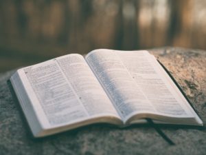 Bible open to Psalms